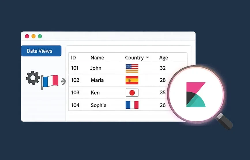 How to add Country flags in Kibana through Data Views