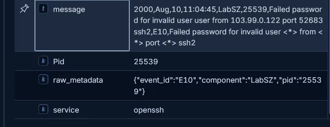 raw_metadata field containing a stringified JSON message