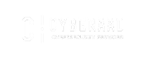 cyberaad-icon